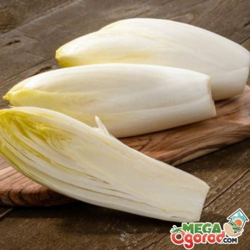 Отзывы и рецепты