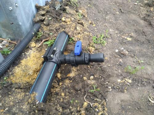 Как обеспечить оптимальное увлажнение почвы при выращивании чеснока на открытом воздухе Как обеспечить оптимальное увлажнение почвы при выращивании чеснока на открытом воздухе