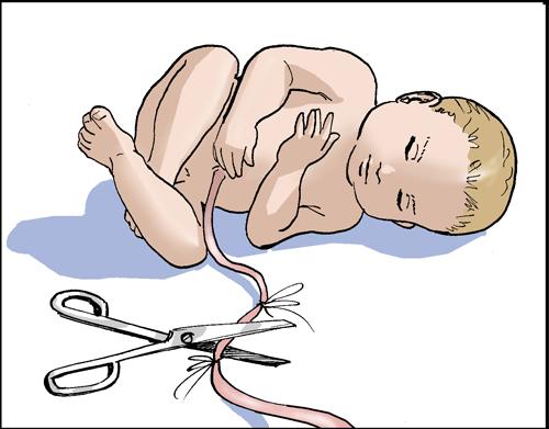 Роды от подготовки до послеродового периода. Лечебно-тактические мероприятия для работников СиНМП 07 Роды от подготовки до послеродового периода. Лечебно-тактические мероприятия для работников СиНМП 07