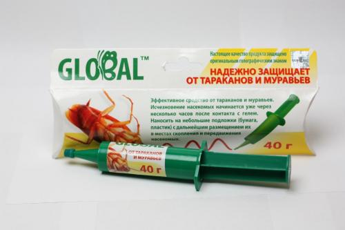 Как избавиться от тараканов раз и навсегда. Кто такие прусаки