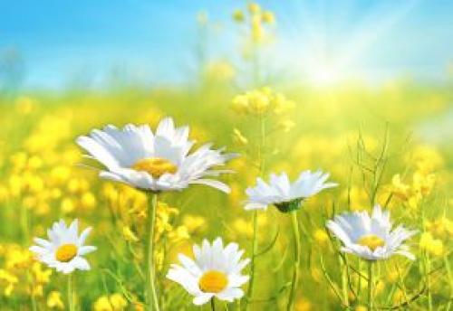 5 простых игр для развития ребенка 2-3 лет. Как развивать ребенка от 2 до 3 лет - План развития и шпаргалка для мам. 05 5 простых игр для развития ребенка 2-3 лет. Как развивать ребенка от 2 до 3 лет - План развития и шпаргалка для мам. 05