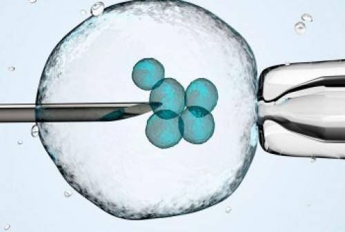 Образ жизни в период планирования беременности. 7 советов будущим родителям 07 Образ жизни в период планирования беременности. 7 советов будущим родителям 07