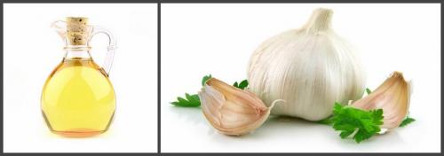 Лечение артроза коленного сустава народными средствами. Артроз коленного сустава: лечение народными средствами, лучшие рецепты