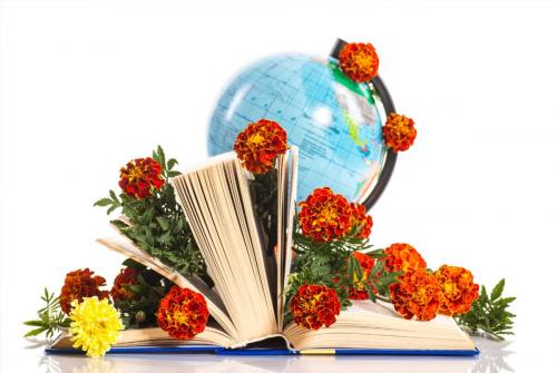 Стих про учителя трогательный. Красивые стихи ко дню учителя от учеников и родителей