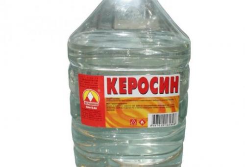 Как избавиться от стасиков в квартире. Народные методы избавления от тараканов