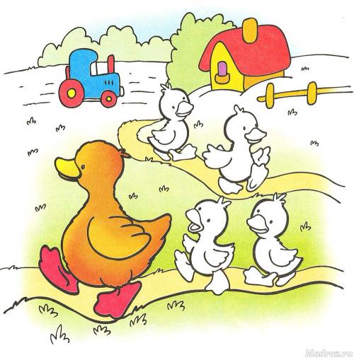 Развивающие занятия для детей 3-4 лет распечатать. Задания для детей 3-4 лет в картинках