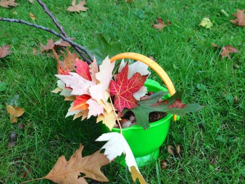 Чем занять ребенка в 1 год 8 месяцев. Наш план занятий в возрасте 1,8 - 2 лет