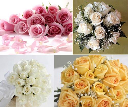 Сколько роз дарят на свадьбу. Какие цветы дарят на свадьбу?