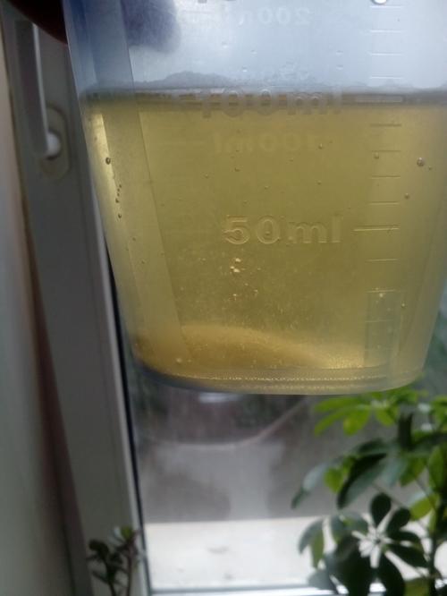 Как определить беременность без теста с помощью соды. Как определить беременность с помощью пищевой соды: фото результата?