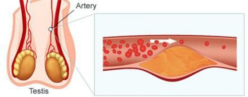 Признаки и симптомы гормонального сбоя у женщин. Признаки гормонального сбоя. 04