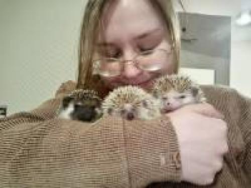 Топ-10 творческих идей, как развлечь ребенка в 4 года 09