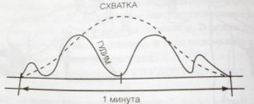 Дыхание при родах форум. Дыхание в родах