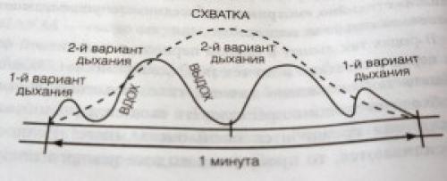 Дыхание при родах форум. Дыхание в родах