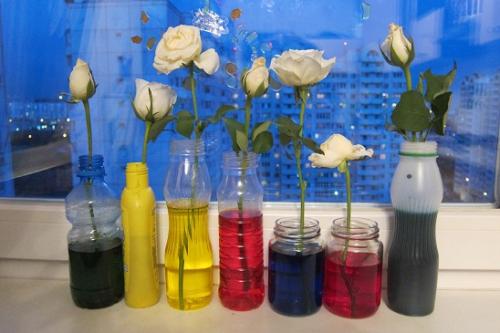 Игры с пищевыми красителями. Балуемся с красителями