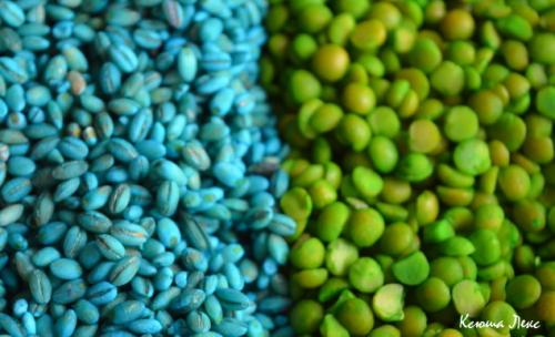 Как покрасить рис для еды. Как покрасить рис и другие крупы пищевыми красителями для детского творчества и сенсорных коробочек