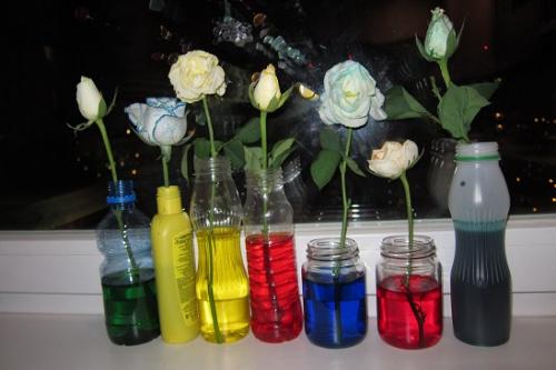 Игры с пищевыми красителями. Балуемся с красителями