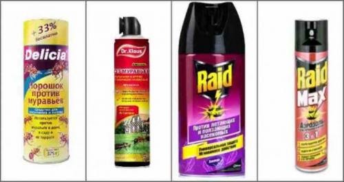 Как избавиться от муравьев. Химические средства