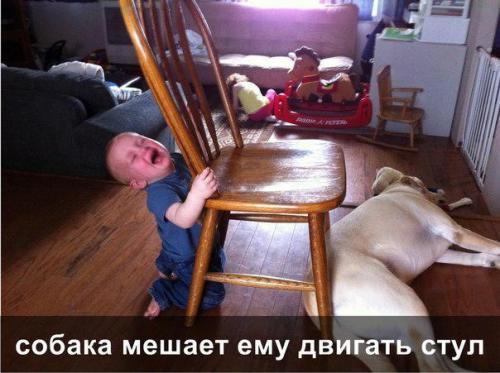 Как развивать ребенка в 1 год и 2 месяца. Физическое развитие ребенка 01 Как развивать ребенка в 1 год и 2 месяца. Физическое развитие ребенка 01