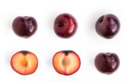 Особенности питания кормящей матери. Диета кормящей матери при грудном вскармливании 05 Особенности питания кормящей матери. Диета кормящей матери при грудном вскармливании 05