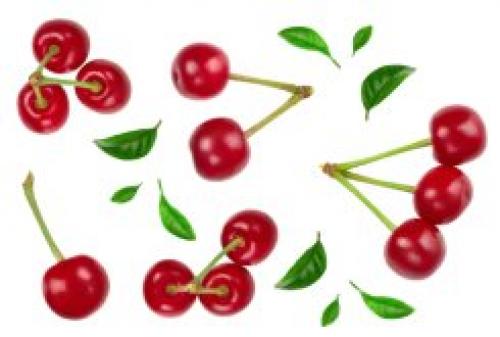 Особенности питания кормящей матери. Диета кормящей матери при грудном вскармливании 06 Особенности питания кормящей матери. Диета кормящей матери при грудном вскармливании 06