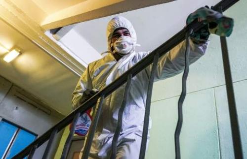 Быстро и эффективно: вывод тараканов за один день 04