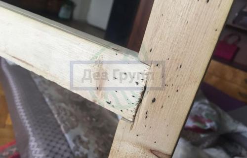 Без тараканов: 10 проверенных способов защитить свою квартиру 09