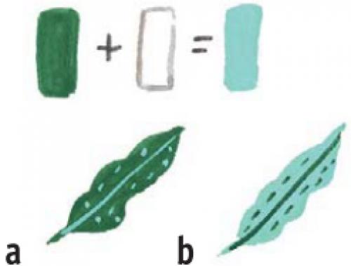 Рисование красками: простые шаги для создания красивых рисунков 25 Рисование красками: простые шаги для создания красивых рисунков 25
