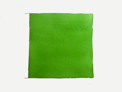 Какие основные техники используются при рисовании красками. Руководство для начинающих: 7 базовых техник рисования акварелью