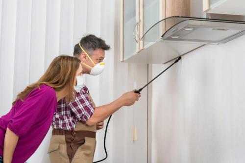 Как выбрать профессионального дезинсектора. Прощай, усатый сосед! Как проходит дезинсекция от тараканов?