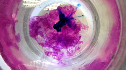 Как в домашних условиях проверить себя на беременность. Как определить беременность по моче