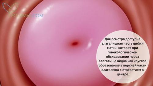 Как распознать беременность на ранних сроках. Система диагностики беременности 01