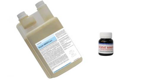 Победа над тараканами: 10 практических советов для чистой квартиры 02 Победа над тараканами: 10 практических советов для чистой квартиры 02