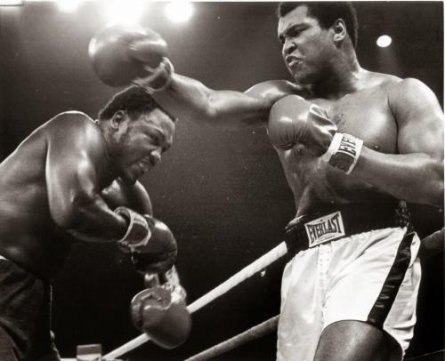 Что такое бокс. История бокса