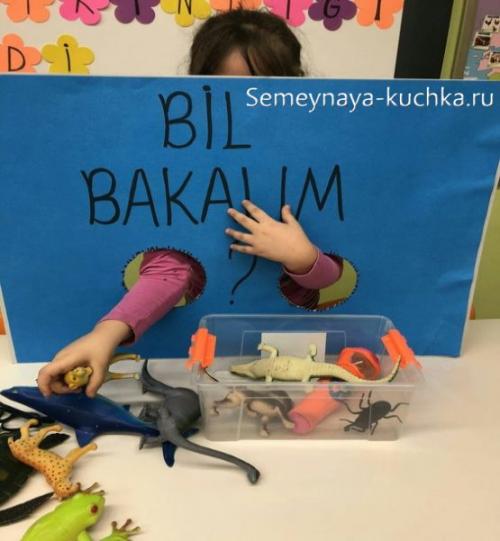 Чем занять ребенка 10 лет дома. Веселые занятия ДЛЯ МАЛЬЧИКОВ (77 лучших идей)