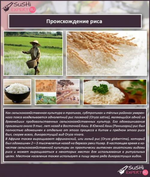 Как покрасить рис для роллов. Экскурс в историю
