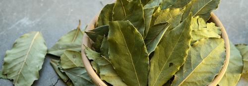 Победа над тараканами: 5 проверенных способов уничтожения 03 Победа над тараканами: 5 проверенных способов уничтожения 03