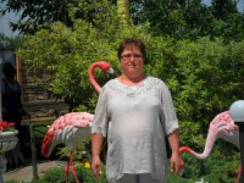 Чем занять ребенка в 2 года дома и на прогулке. Чем занять ребенка в два года, чтобы он делал это сам 02 Чем занять ребенка в 2 года дома и на прогулке. Чем занять ребенка в два года, чтобы он делал это сам 02