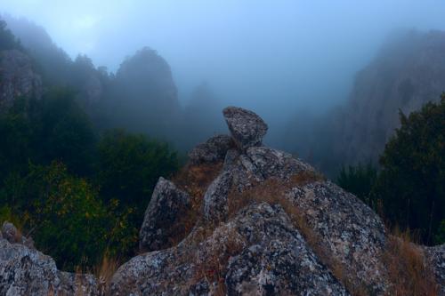Как снять групповой портрет. На какой диафрагме снимать групповой портрет 01 Как снять групповой портрет. На какой диафрагме снимать групповой портрет 01
