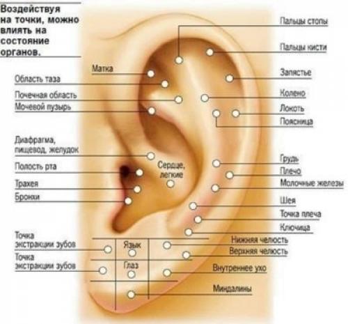 Гноятся уши после прокола у ребенка. О детском пирсинге