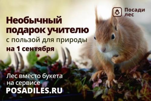 Альтернатива букету на 1 сентября. Дети вместо цветов: зачем заменять традиционные букеты на 1 сентября?!