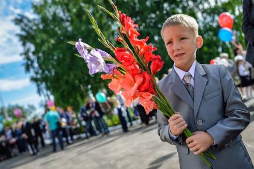 Цветы на 1 сентября гладиолусы. Гладиолусы. Как вырастить букет к 1 сентября